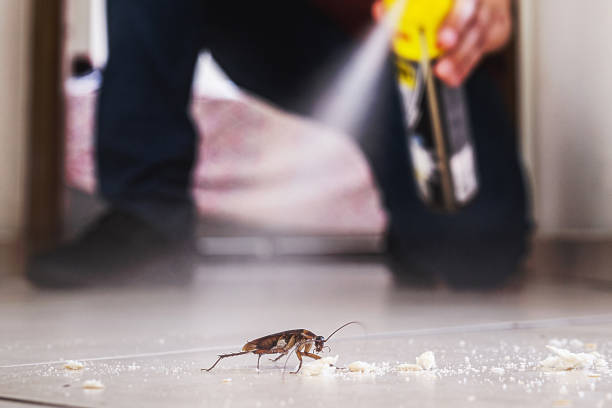 Pest Control for Restaurants in Cambridge, WI